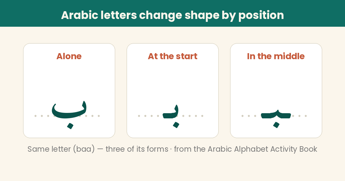 The Arabic letter baa in three positional forms — alone, at the start, and in the middle of a word — with dotted tracing baselines