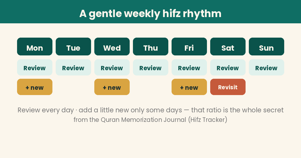 A weekly hifz chart: review every day, add a small new portion on Monday, Wednesday and Friday, and a bigger revisit at the weekend